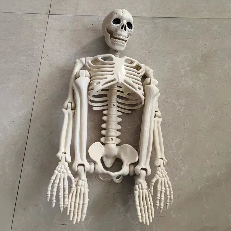 Halloween Movable Skeleton Skull & Bones Decoration